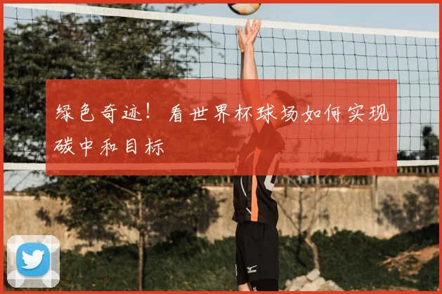 绿色奇迹!看世界杯球场如何实现碳中和目标